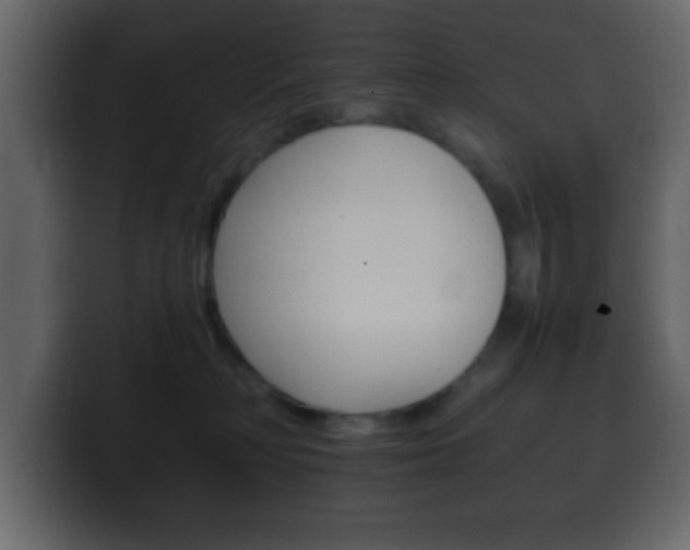 X0000100400230200806060901