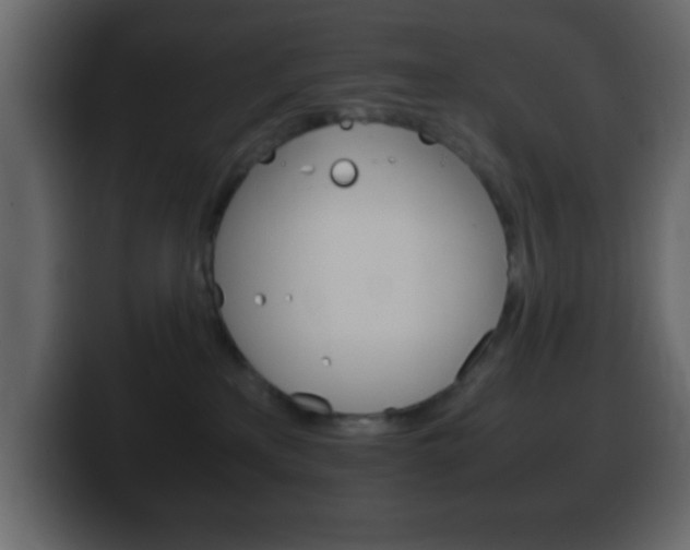 X0000100400233200806060901