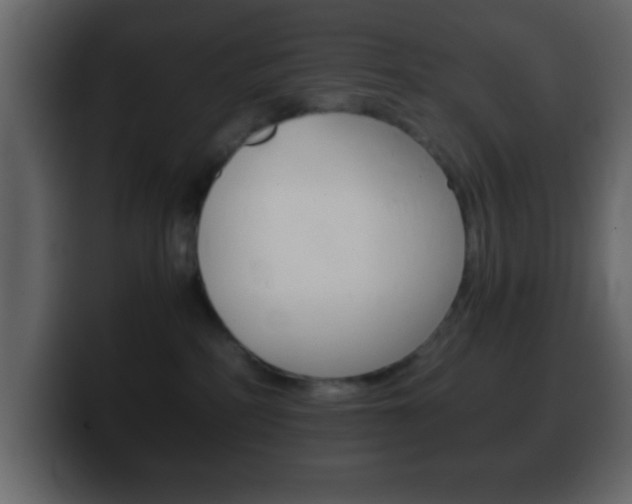 X0000100400234200806060901