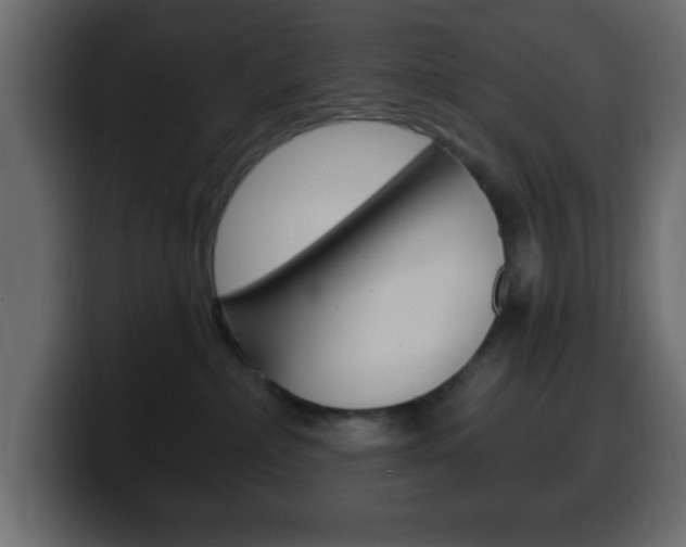 X0000100400236200806060901