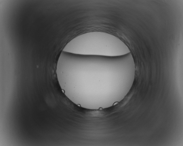 X0000100400237200806060901