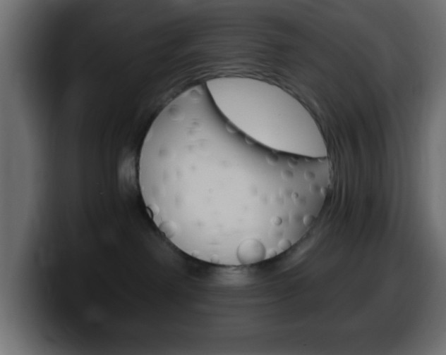 X0000100400238200806060901
