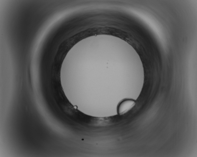 X0000100400239200806060901