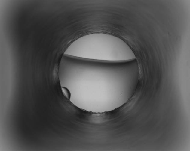 X0000100400240200806060901