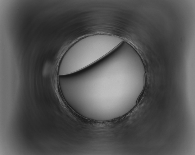 X0000100400241200806060900