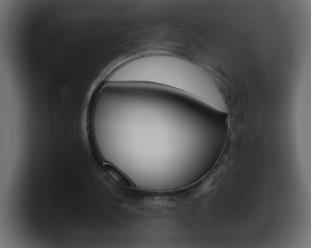 X0000100400244200806060900