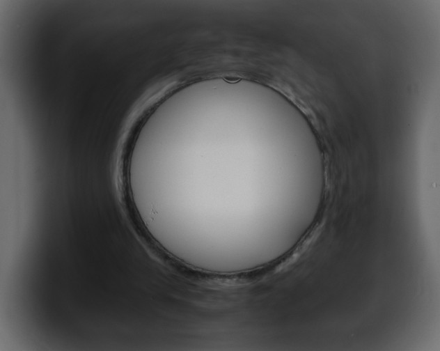 X0000100400245200806060900