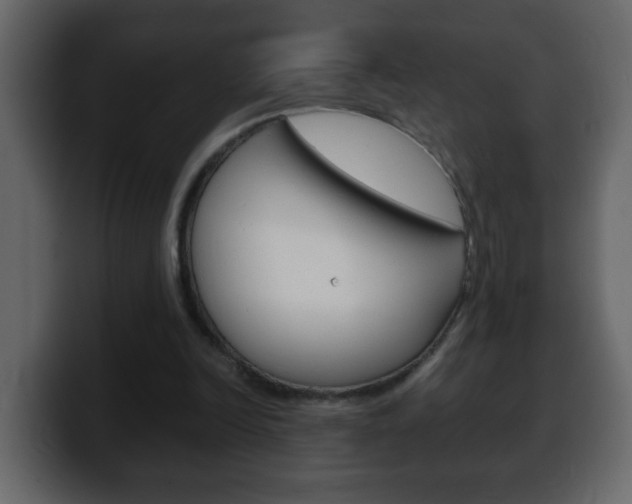 X0000100400246200806060900