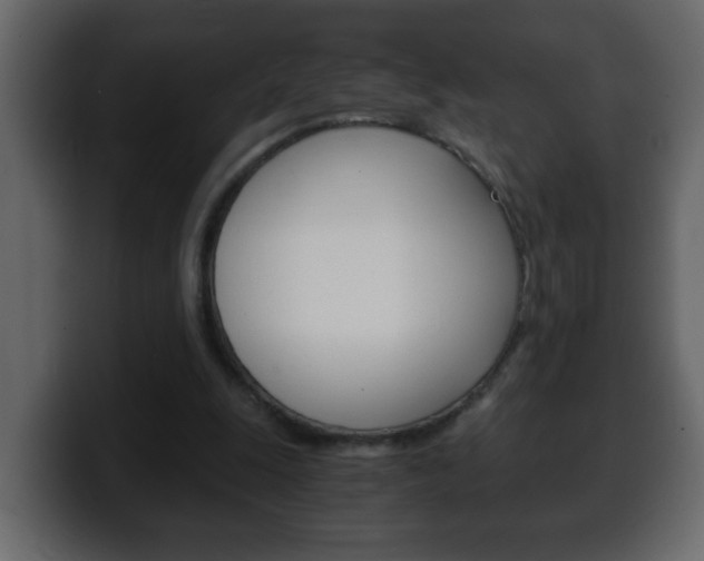 X0000100400247200806060900