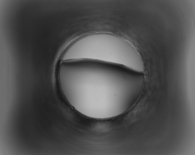 X0000100400248200806060900