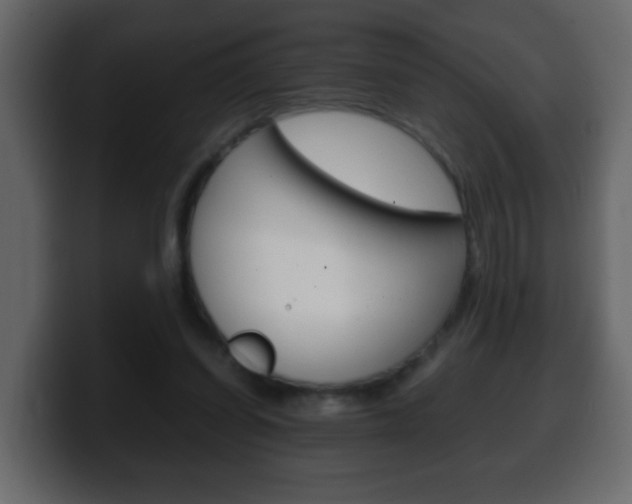X0000100400254200806060900