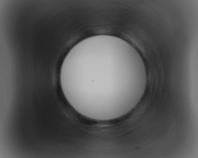 X0000100400255200806060900