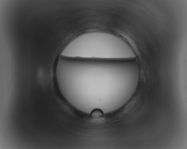 X0000100400257200806060900