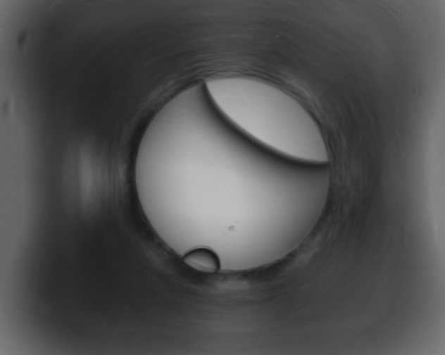 X0000100400258200806060900