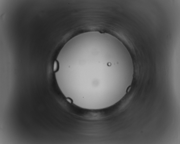 X0000100400260200806060900