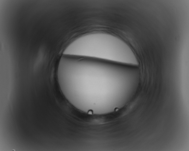 X0000100400263200806060900