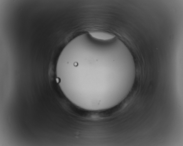 X0000100400264200806060900
