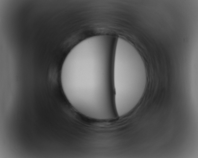 X0000100400266200806060900