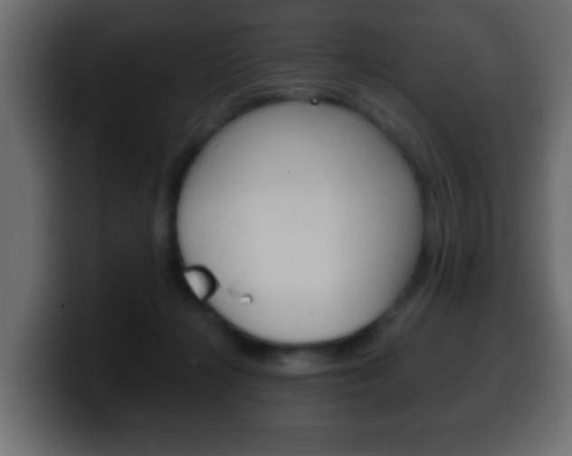X0000100400268200806060900