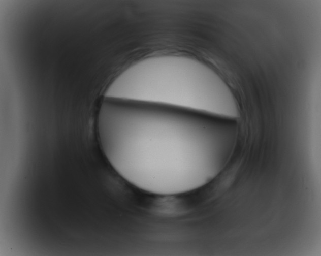 X0000100400269200806060900