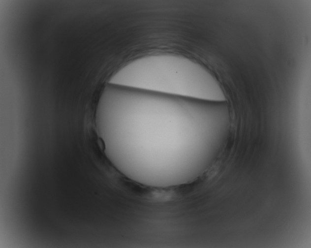 X0000100400272200806060900