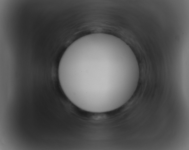 X0000100400274200806060900