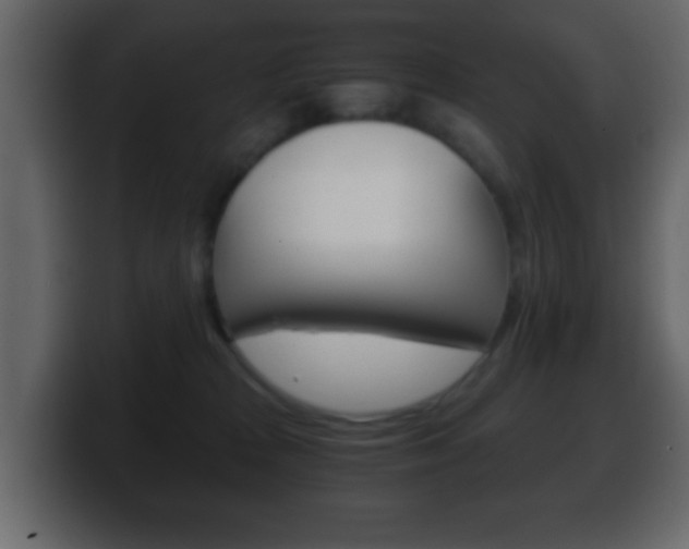X0000100400277200806060900