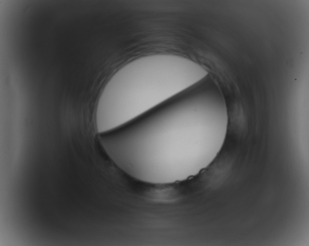 X0000100400278200806060900