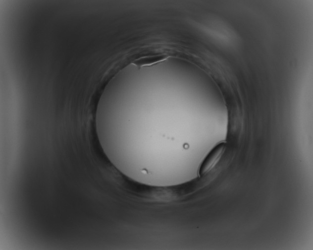 X0000100400279200806060900