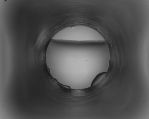 X0000100400281200806060900