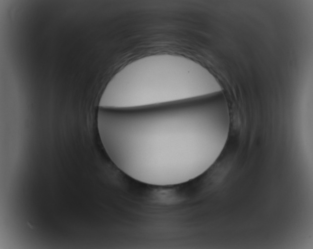 X0000100400283200806060900
