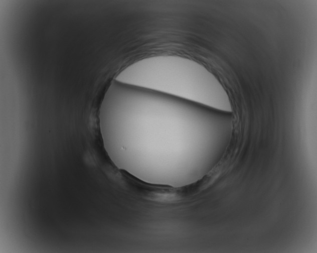 X0000100400284200806060900