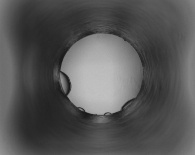 X0000100400287200806060901