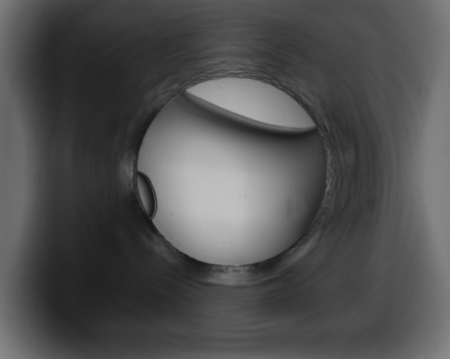 X0000100400288200806060901