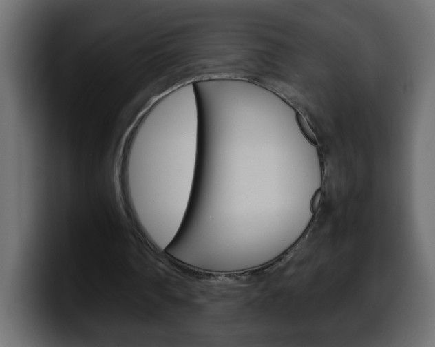 X0000100400290200806060900