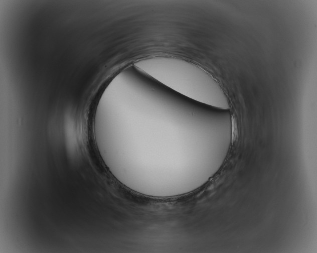 X0000100400291200806060900