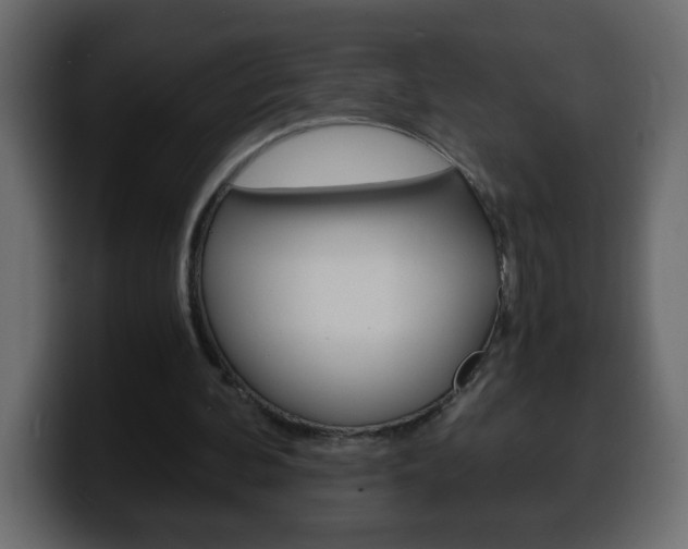 X0000100400292200806060900