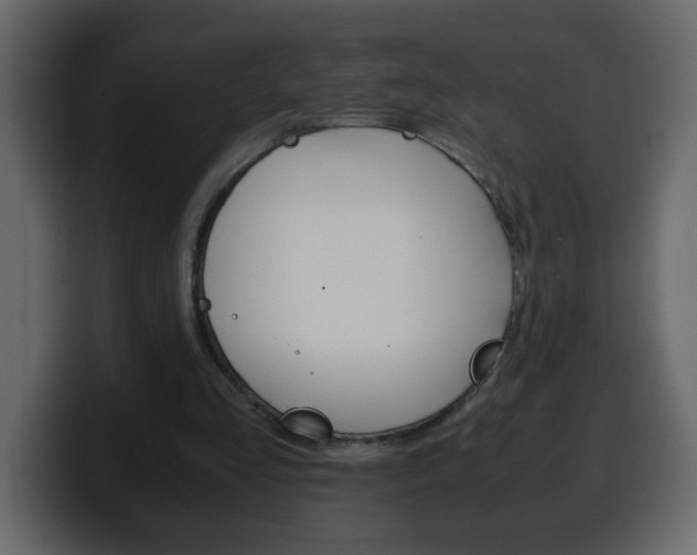 X0000100400293200806060900