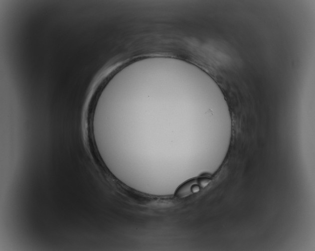 X0000100400294200806060900