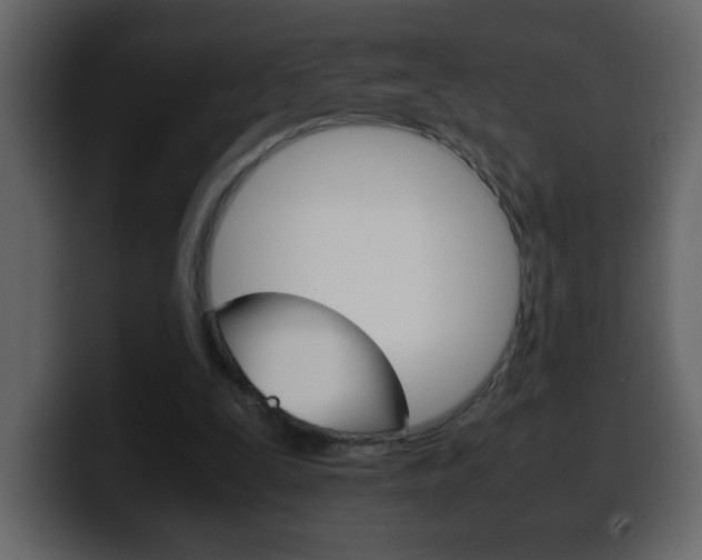 X0000100400295200806060900