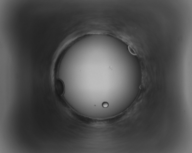X0000100400296200806060900