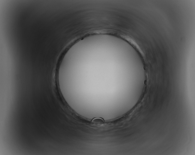 X0000100400297200806060900
