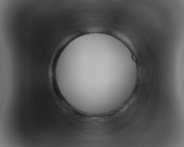 X0000100400298200806060900