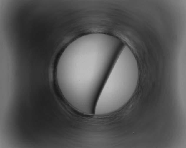 X0000100400299200806060900
