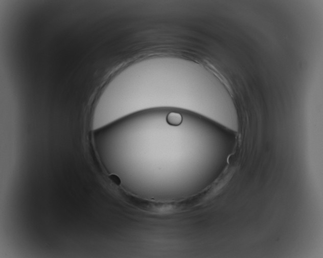 X0000100400301200806060900