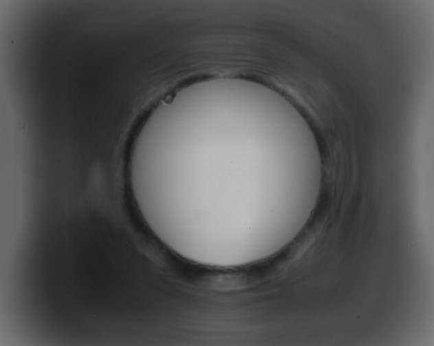 X0000100400303200806060900
