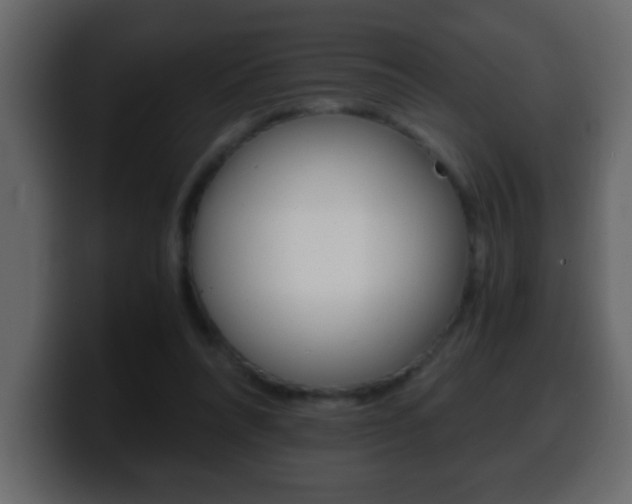 X0000100400304200806060900