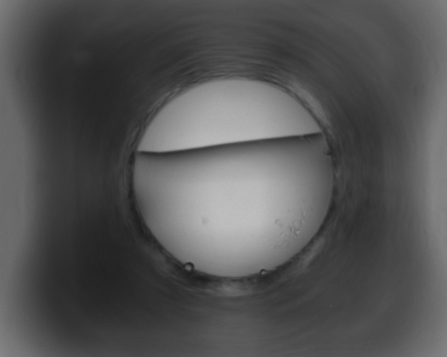 X0000100400305200806060900