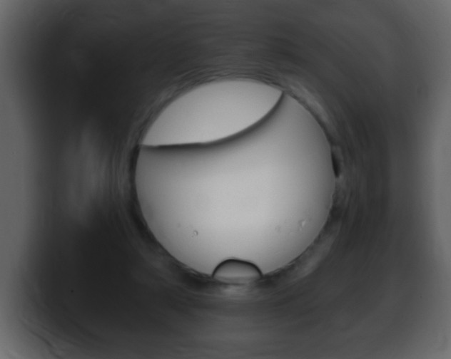 X0000100400306200806060900