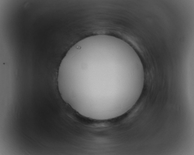 X0000100400307200806060900